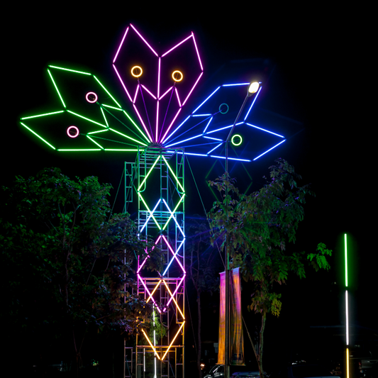 Decorative Neon Lighting