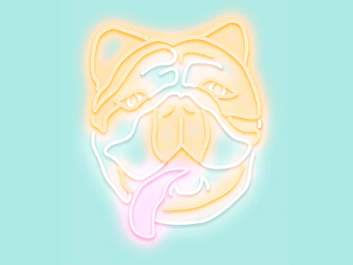 Pet Portraits! 🐶