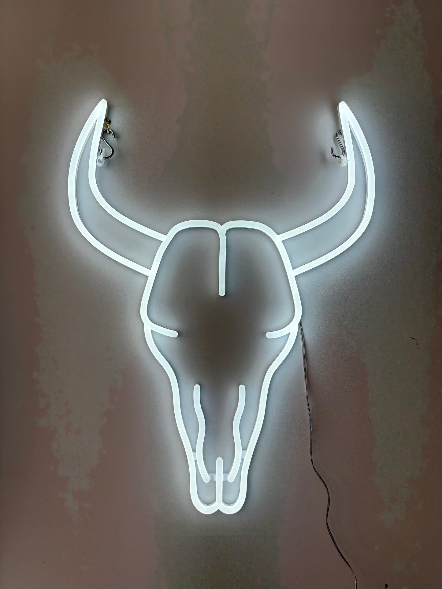 LED Bull