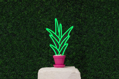 Aloe Vera | Neon Light Decor - GLO Studio - LED NEON