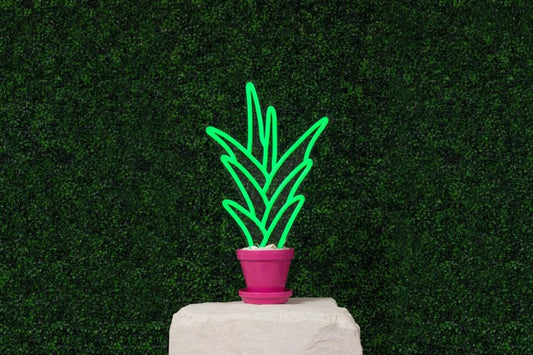 Aloe Vera | Neon Light Decor - GLO Studio - LED NEON