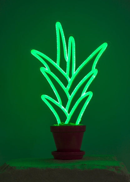 Aloe Vera | Neon Light Decor - GLO Studio